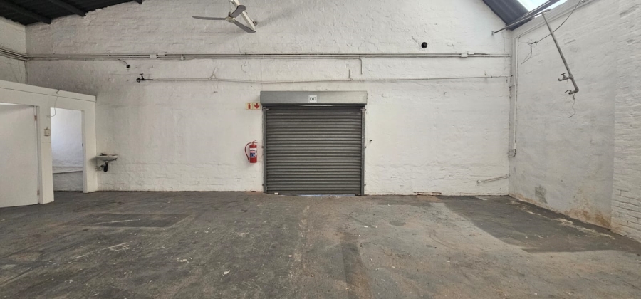 To Let commercial Property for Rent in Arcadia Eastern Cape